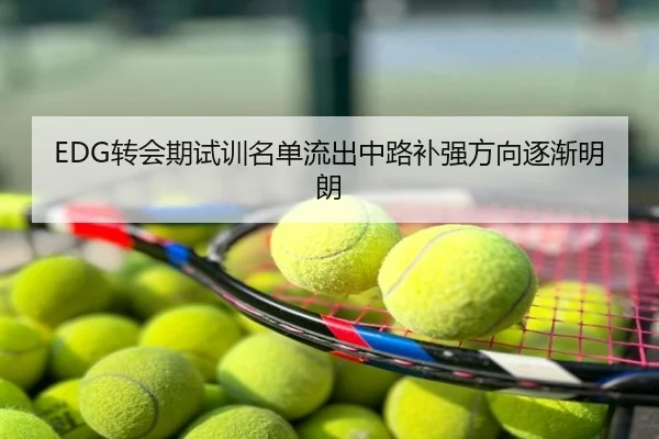 EDG转会期试训名单流出中路补强方向逐渐明朗